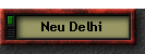 Neu Delhi